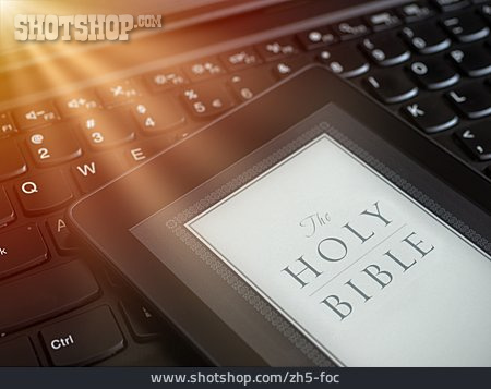 
                Lesen, Online, Holy Bible                   