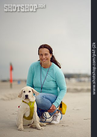 
                Woman, Beach, Walk, Puppy Dogs                   