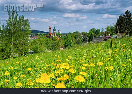 
                Blumenwiese, Frühling, Auerbach                   