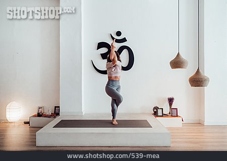 
                Balance, Yoga, Yogastudio                   