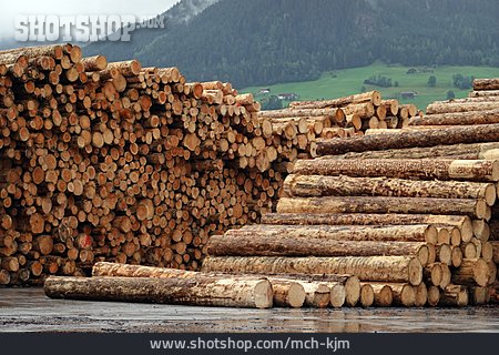 
                Baumstämme, Holzindustrie, Holzhandel                   