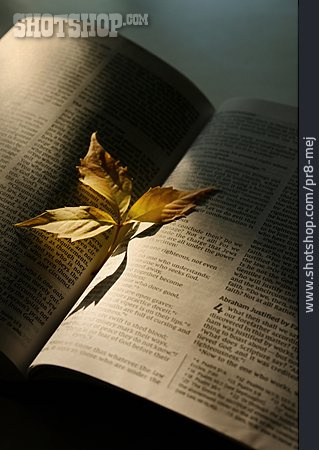 
                Bibel, Herbstblatt                   