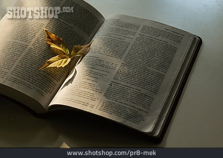 
                Bibel, Herbstblatt                   