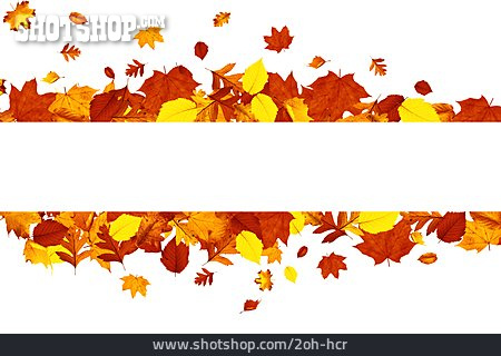 
                Textfreiraum, Herbst, Herbstlaub                   