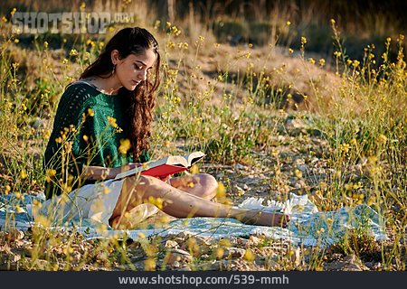 
                Junge Frau, Sommer, Buch, Lesen, Versunken                   