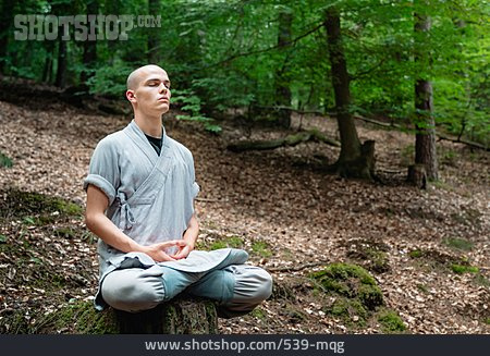 
                Wald, Mönch, Meditieren                   