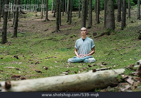 
                Wald, Konzentration, Mönch, Meditieren, Achtsamkeit                   