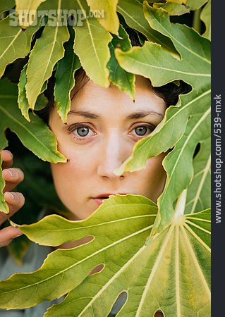 
                Woman, Portrait, Leaf                   