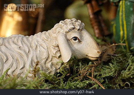 
                Schaf, Krippenfigur                   