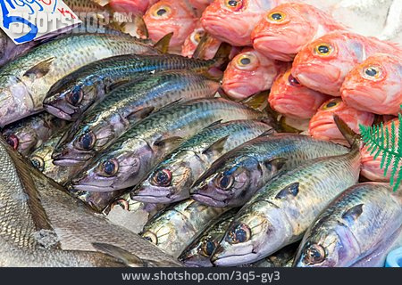 
                Fisch, Fischmarkt                   