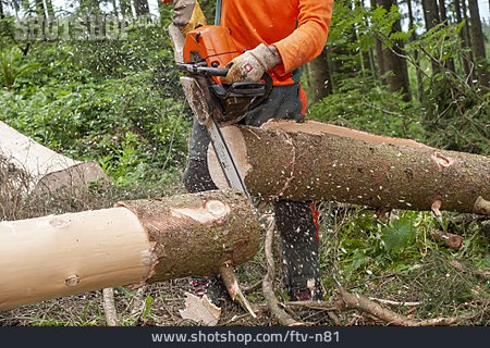 
                Forstarbeit, Baumfällung, Motorsäge                   