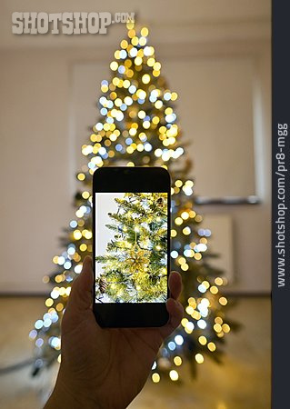 
                Fotografieren, Weihnachtsbaum, Smartphone                   