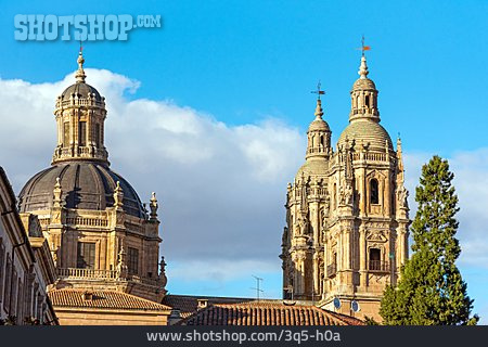 
                Alte Kathedrale Von Salamanca                   