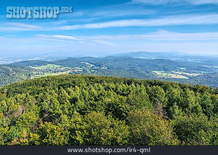 
                Forest, Zittauer Gebirge                   