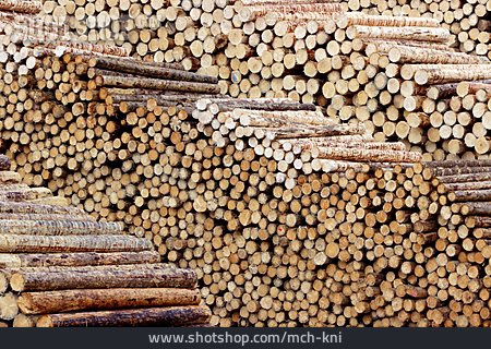 
                Holzstapel, Holzwirtschaft, Baumstämme                   