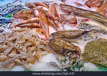 
                Meeresfrüchte, Fischmarkt, Krustentier                   