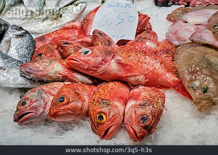 
                Fisch, Fischmarkt, Rotbarbe                   