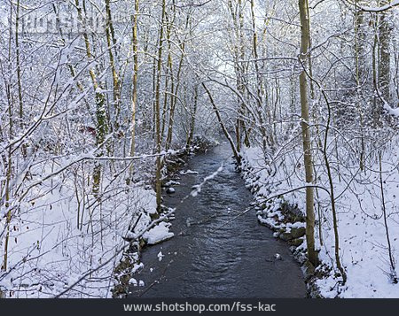 
                Wald, Winter, Fluss                   