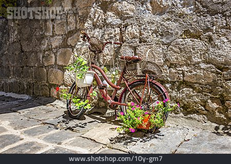 
                Fahrrad, Blumenschmuck                   