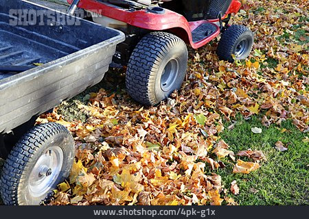 
                Herbstlaub, Gartenarbeit, Gartentraktor                   