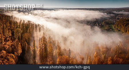 
                Wald, Herbst, Nebel                   