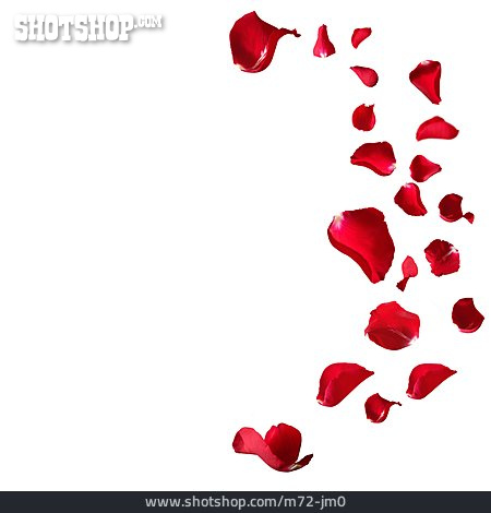 
                Love, Valentine's Day, Rose                   