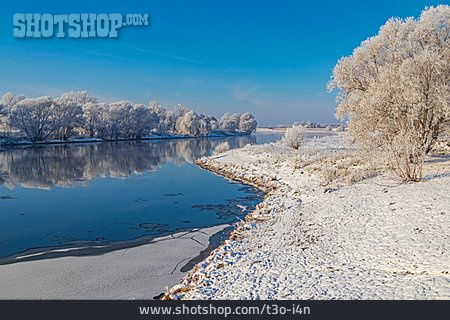 
                Winter, Fluss, Elbe                   