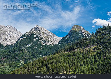 
                Alpen, Nationalpark Berchtesgaden                   