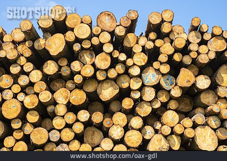 
                Holzstapel, Baumstamm, Holzwirtschaft                   