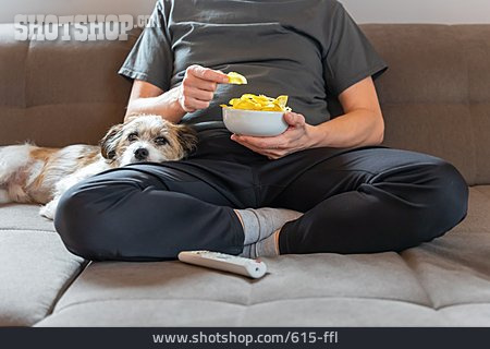 
                Fernsehen, Haustier, Gemütlich, Couch-potato                   