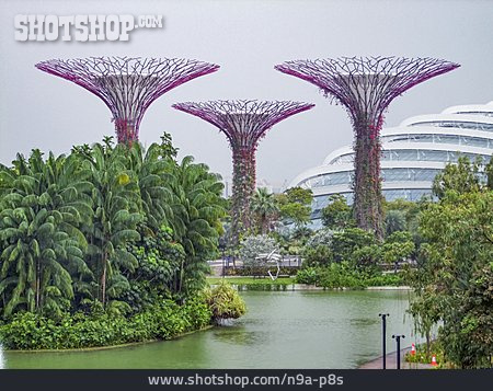 
                Supertree, Gardens By The Bay                   