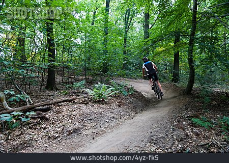 
                Wald, Radfahrer, Mountainbiking                   