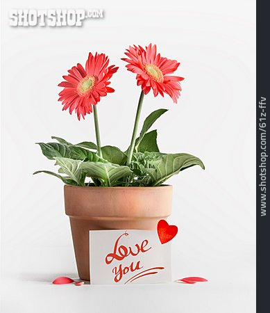 
                Valentinstag, I Love You, Blumengeschenk                   