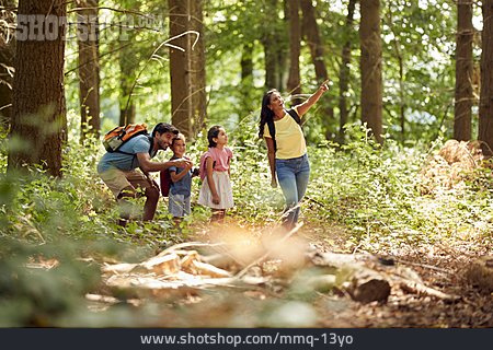 
                Wald, Entdeckung, Familie, Kinder                   
