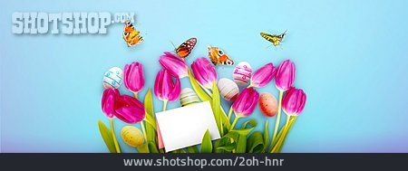 
                Schmetterling, Ostern, Tulpenblüte, Frühlingszeit                   