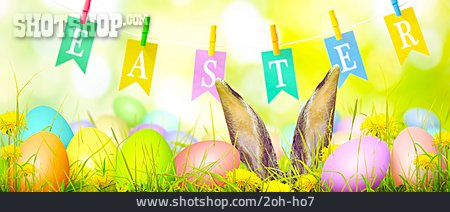 
                Easter Egg, Easter, Rabbit Ears                   
