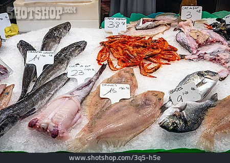 
                Fisch, Meeresfrüchte, Fischmarkt                   