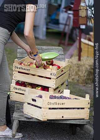 
                Apfel, Direktverkauf, Obstbauer                   