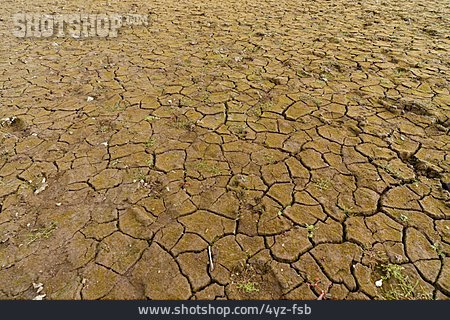 
                Drought, Water, Cracked, Ground                   