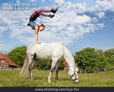 
                Pferd, Handstand, Pippi Langstrumpf                   