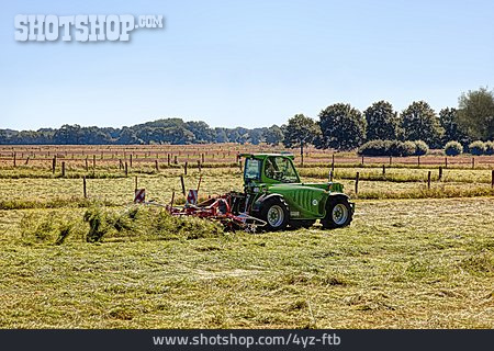 
                Landwirtschaft, Heuernte, Heuwender                   