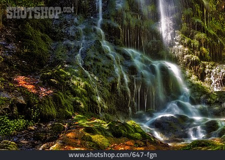 
                Wasserfall, Schwarzwald, Märchenhaft                   
