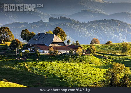 
                Bauernhaus, Hochschwarzwald, Vorderwillmenhof                   