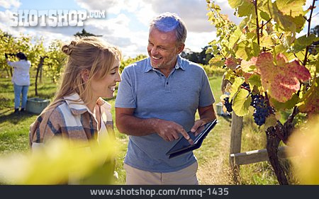 
                Zeigen, Digital, Internet, Weinanbau, Winzer                   