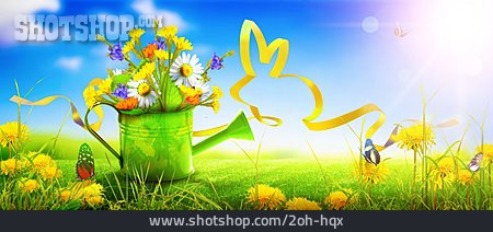 
                Flowers, Spring, Watering Can                   