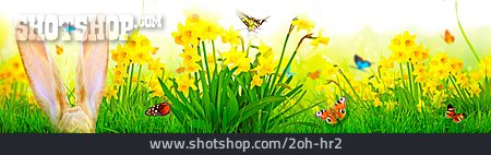 
                Easter, Flower Meadow, Rabbit Ears, Springtime                   