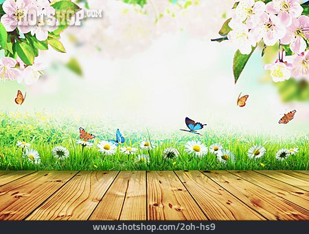 
                Garten, Schmetterling, Frühling, Holztisch                   