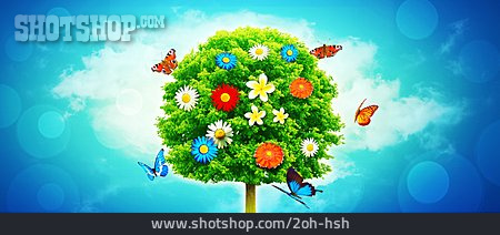 
                Baum, Blüte, Frühlingszeit                   
