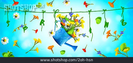 
                Bouquet, Watering Can, Spring                   