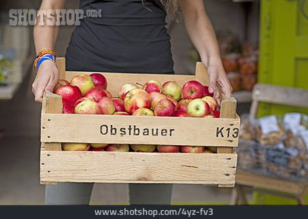 
                Apfel, Apfelernte, Obstbauer                   
